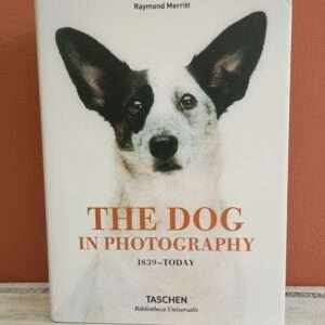 The dog in photography