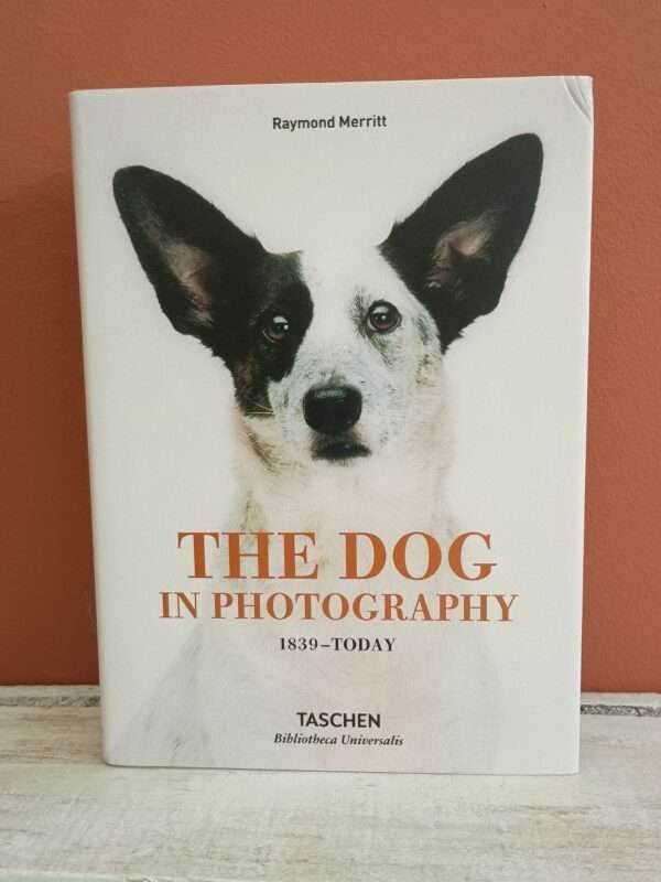 The dog in photography